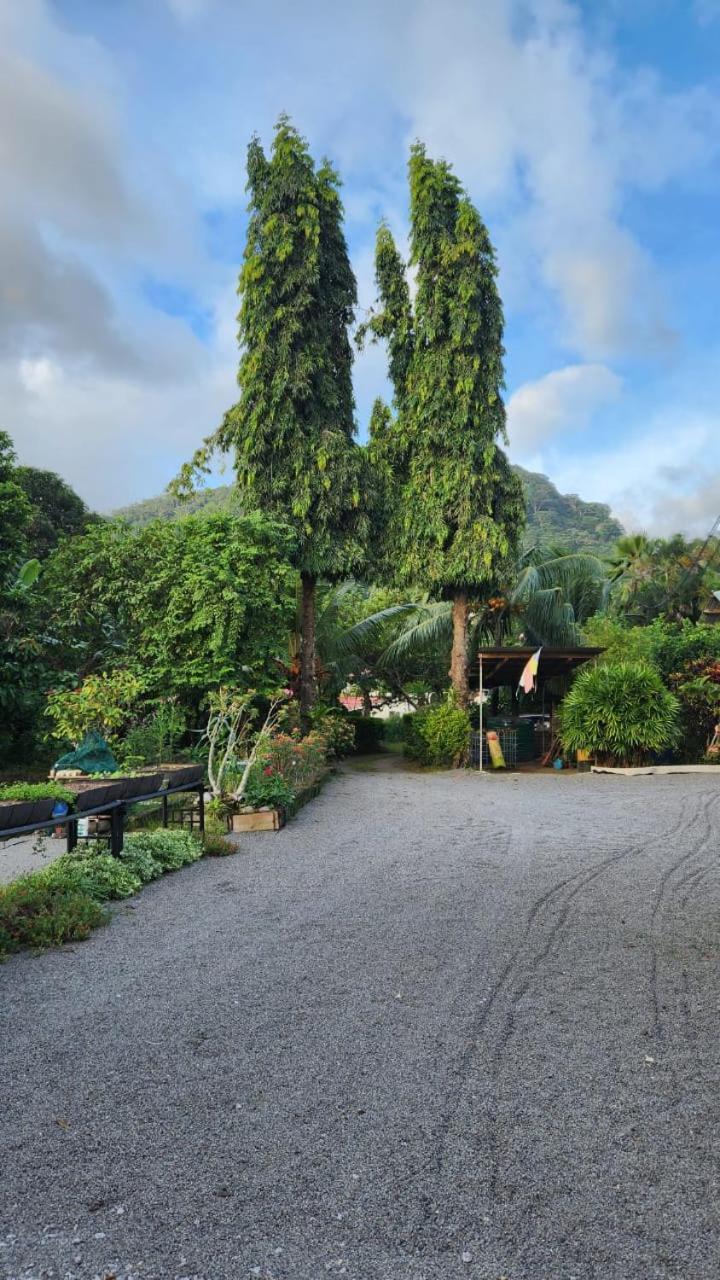Green Self-Catering Apartment Beau Vallon  Eksteriør billede